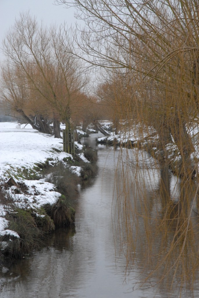 Tips on taking photographs in the snow