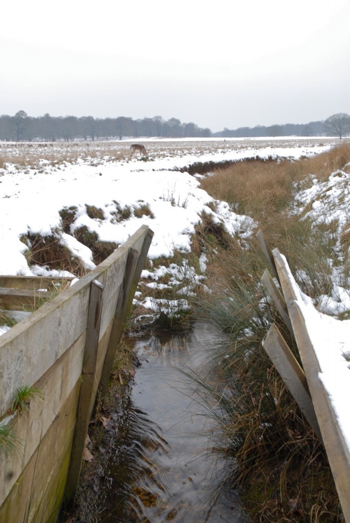 Tips on taking photographs in the snow